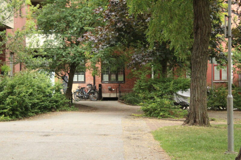 Brf Gillets hus i bakgrunden. I förgrunden en gång och grönskande träd och buskar.